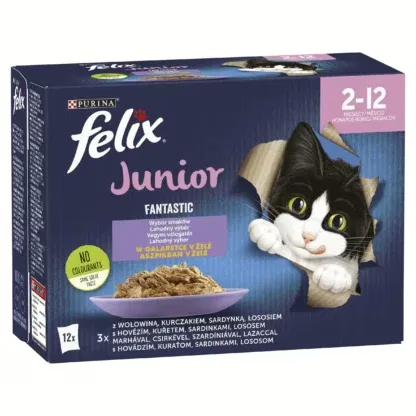Felix Junior Fantastic vegyes 4*85g